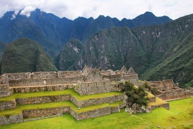 Inca Kalesi Peru Machu Picchu