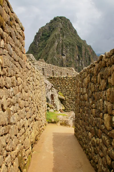 Parte residencial de la ciudadela de Machu Picchu en Perú — Foto de Stock