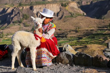 COLCA CANYON, PERU-JANUARY 16: Unidentified girl in traditional  clipart