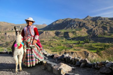 Colca Canyon, Peru-16 Ocak: Geleneksel tanımlanamayan kadın