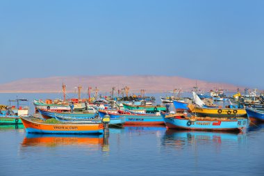 Paracas, Peru-Ocak 26: Nieumiem bağlantılı renkli balıkçı tekneleri