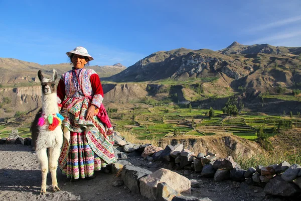 COLCA CANYON, PERÚ-ENERO 16: Mujer no identificada en el tradicional — Foto de Stock