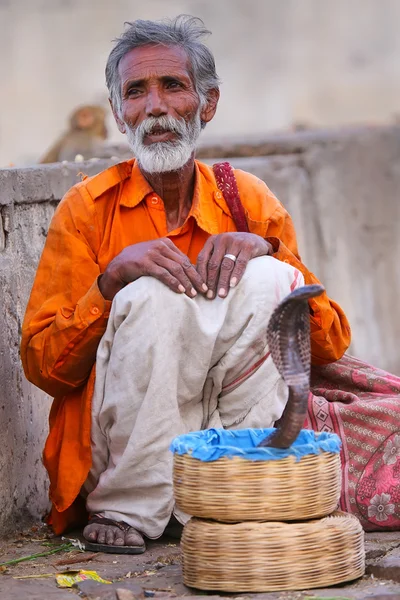 JAIPUR, INDIA - NOVEMBER 14: Unidentified man with a cobra sits — Stock Photo, Image