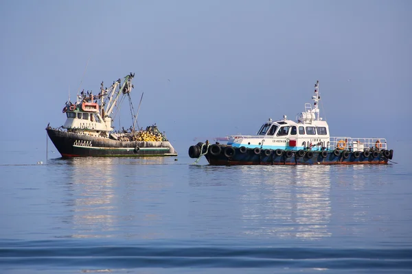 ПАРАКАС, ПЕРУ-ЯНВАРЬ 26 ЯНВАРЯ: Местные лодки встали на якорь в заливе Паракас — стоковое фото