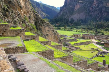 Ollantaytambo, Pe Inca kalede, Pumatallis teraslarında