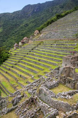 Peru'daki Machu Picchu adlı tarım taş teraslar