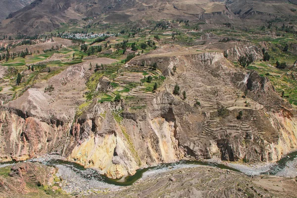 Vista do desfiladeiro de Colca no Peru — Fotografia de Stock