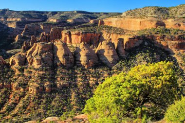 Colorado Ulusal Anıtı 'ndaki Kola Fırınları Manzarası, Grand Junction, ABD