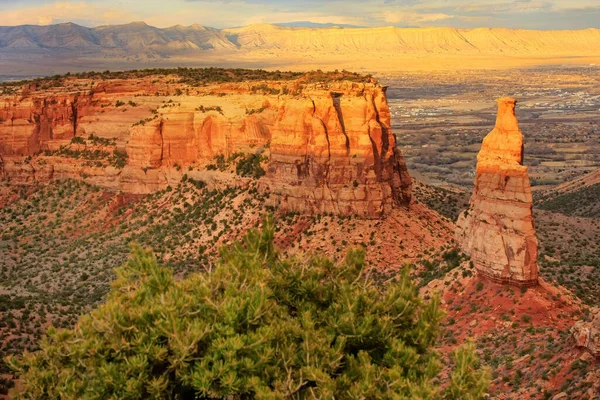 Gezicht Wedding Canyon Sentinel Spire Colorado National Monument Grand Junction — Stockfoto