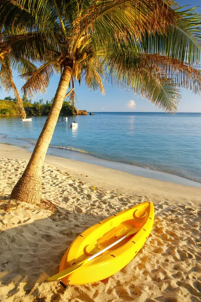 斐济亚萨瓦斯纳库拉岛棕榈树附近海滩上的海上皮艇 — 图库照片