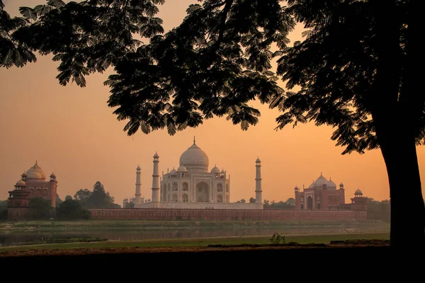 Vista Del Taj Mahal Enmarcado Por Una Copa Árbol Atardecer —  Fotos de Stock