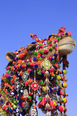 çöl Festivali, jaisalmer, Hindistan dekore edilmiş deve portre