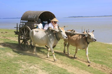 turist taksi mingun, mandalay bölge, myanmar