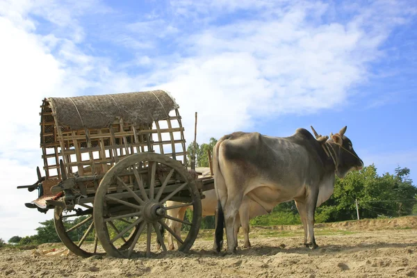 Toeristische taxi in mingun, regio van mandalay, myanmar — Stockfoto