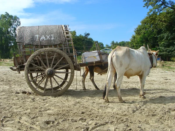 Tourist taxi in Mingun, Mandalay region, Myanmar — Stock Photo, Image