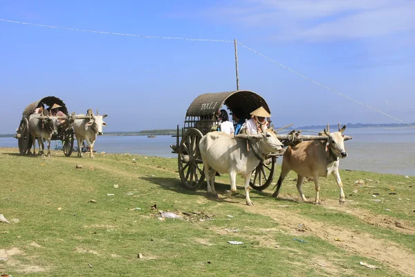 Turistler mingun, mandalay bölge, myanmar için öküz arabaları — Stok fotoğraf