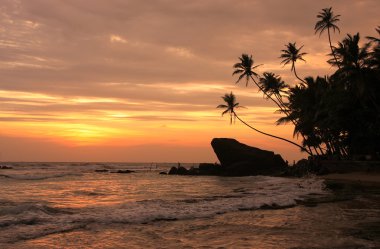 Silhouetted palm trees and rocks at sunset, Unawatuna, Sri Lanka clipart