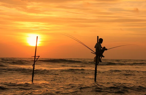 Silhuetten av en pinne fiskare vid solnedgången, unawatuna, sri lanka — Stockfoto