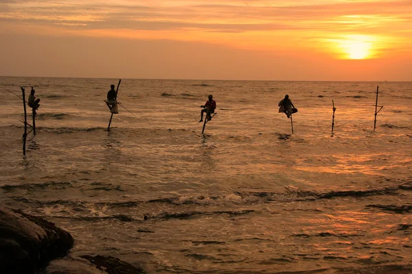 在落日，加勒，斯里兰卡的棍子渔民的剪影 — 图库照片