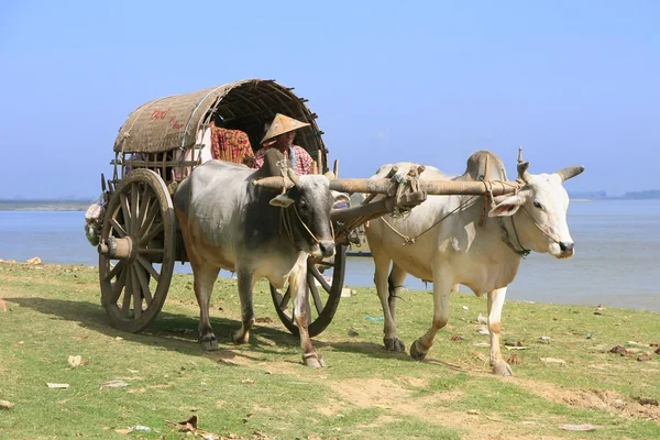 Turistické taxi v mingun, mandalay regionu, myanmar — Stock fotografie