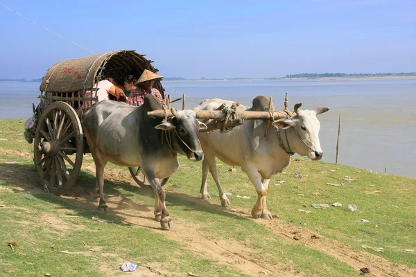 Turist taxi i mingun, mandalay region, myanmar — Stockfoto