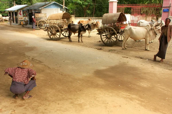 Street in Mingun with people and ox carts, Myanmar — Stock Photo, Image
