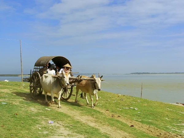 Turist taxi i mingun, mandalay region, myanmar — Stockfoto