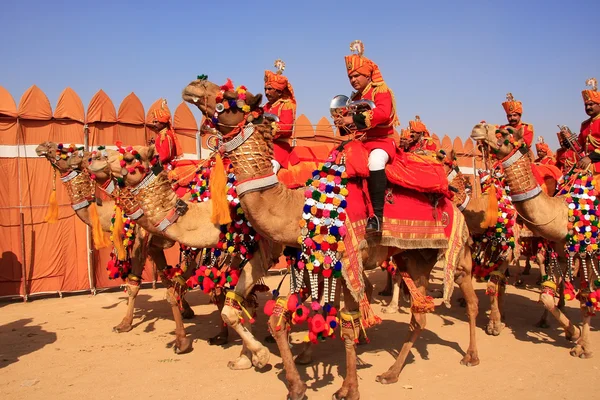 Kamel procession på Desert Festival, Jaisalmer, Indien — Stockfoto