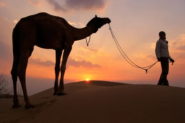 Silhouetted person with a camel at sunset, Thar desert near Jais — Stock Photo, Image