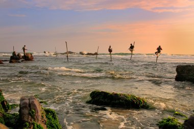 Famous stick fishermen in Unawatuna, Sri Lanka clipart