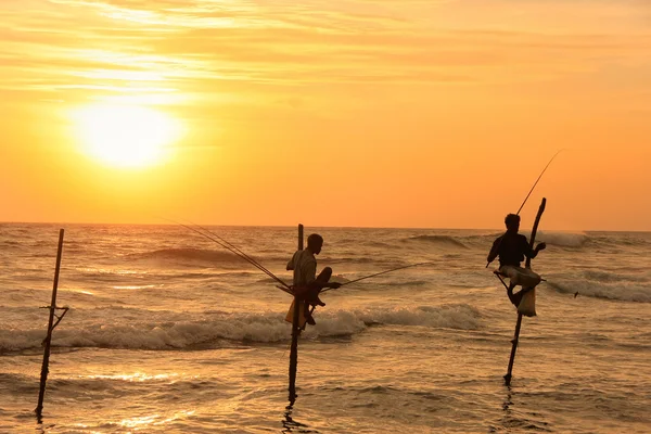 Silhuetten av en pinne fiskare vid solnedgången, unawatuna, sri lanka — Stockfoto