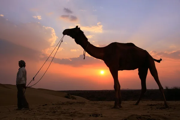 Silhouetted person with a camel at sunset, Thar desert near Jais — Stock Photo, Image