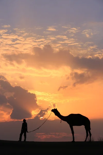 Silhouetted person with a camel at sunset, Thar desert near Jais — Stock Photo, Image