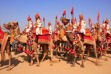 Deve alayı çöl Festivali, Jaisalmer, Hindistan