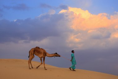 Onun deve Thar Çölü'nde önde gelen Bedevi Jaisalmer, Hindistan yakın: