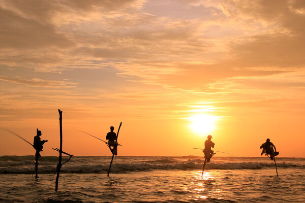 Silhouette of a stick fishermen at sunset, Unawatuna, Sri Lanka