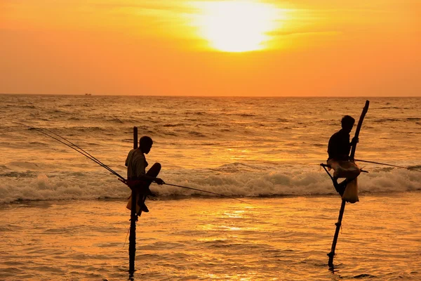 Silhuetten av en pinne fiskare vid solnedgången, unawatuna, sri lanka — Stockfoto