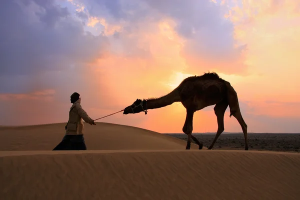 Beduíno silhueta andando com seu camelo ao pôr do sol, Thar deser — Fotografia de Stock