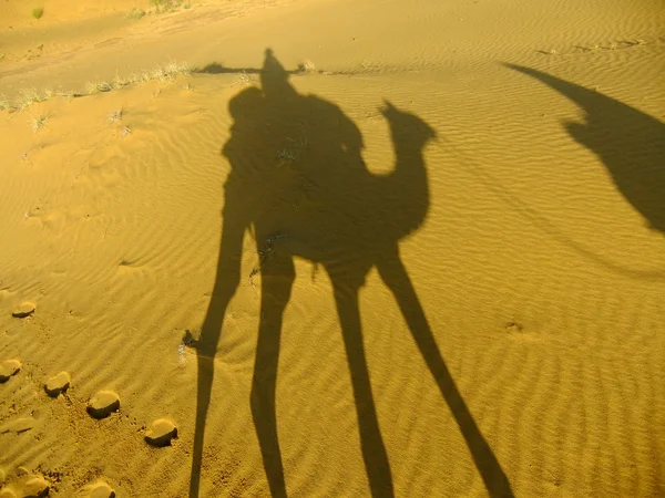 Σκιά του μια καμήλα με τουριστικά σε ένα αμμόλοφους, ερήμου Thar, Ind — Φωτογραφία Αρχείου
