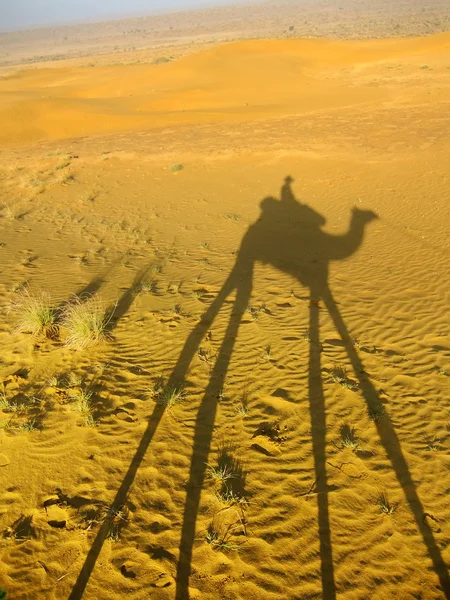 Stín velblouda s turisty na písečných dunách, Thar pouště, Ind — Stock fotografie