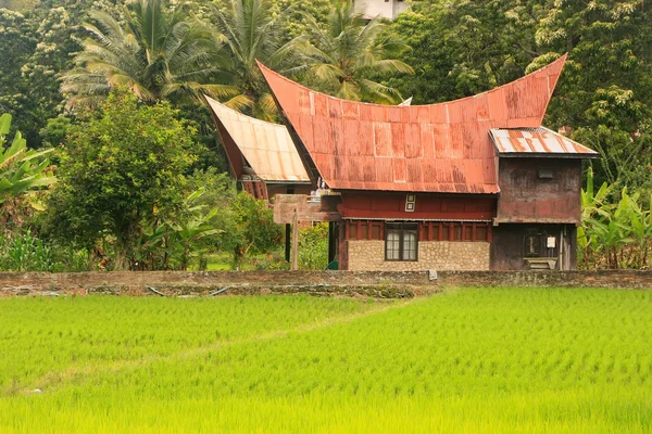 Tradiční Batak dům na Samosir island, Sumatra, Indonésie — Stock fotografie