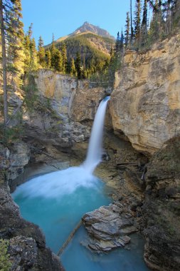 Stanley güzellik dere Kanyon, Jasper national park Al için düşüyor