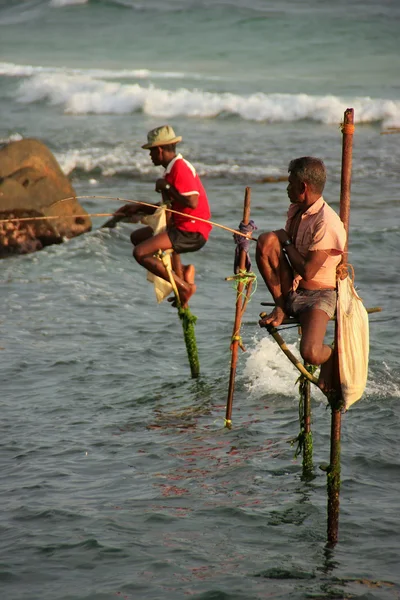 Famous stick fishermen in Unawatuna, Sri Lanka — Stock Photo, Image