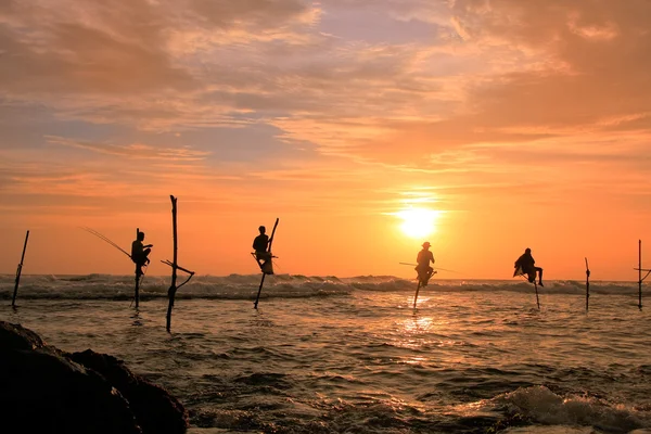 Silhuetten av en pinne fiskare vid solnedgången, unawatuna, sri lanka — Stockfoto