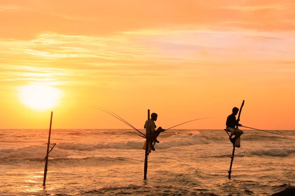 在落日，加勒，斯里兰卡的棍子渔民的剪影 — 图库照片