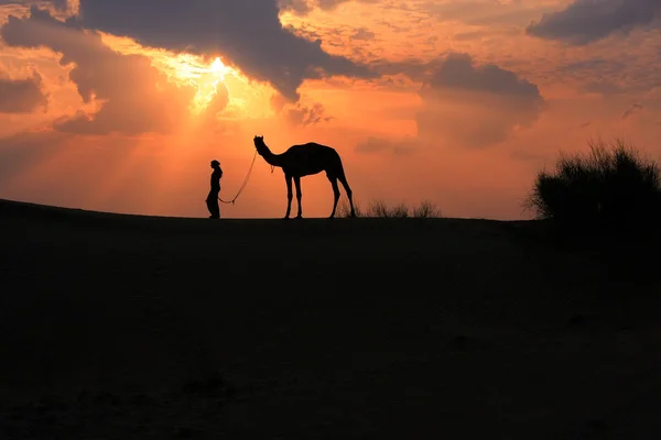 Silhouetted person with a camel at sunset, Thar desert near Jais — Stock Photo, Image