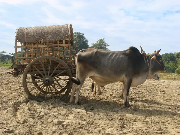 Toeristische taxi in mingun, regio van mandalay, myanmar — Stockfoto