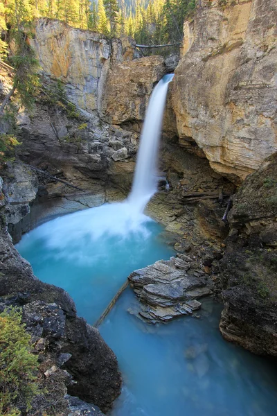 Stanley cai no desfiladeiro Beauty Creek, parque nacional Jasper em Al — Fotografia de Stock