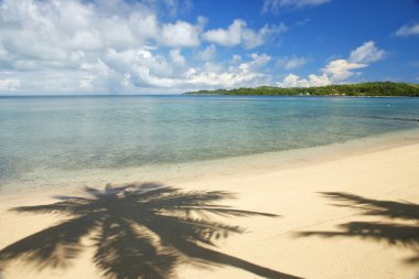Sandy beach palmiye ağacı ile gölgeler, Nananu-i-Ra Island, Fiji