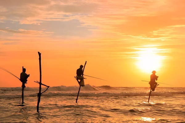 Silhuetten av en pinne fiskare vid solnedgången, unawatuna, sri lanka — Stockfoto